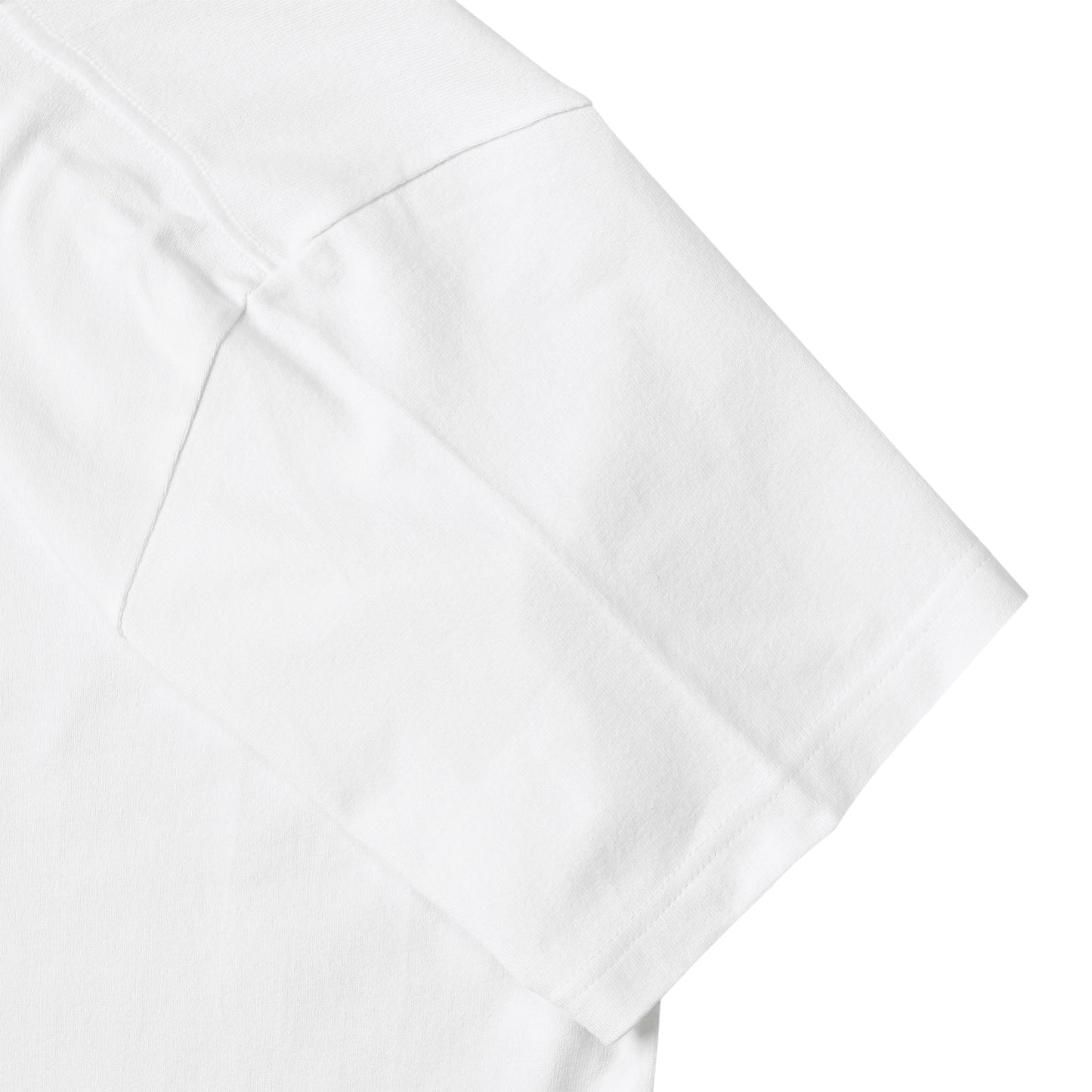 日本製 ロイヤルTシャツ